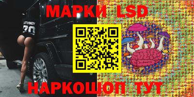 mix Дубна