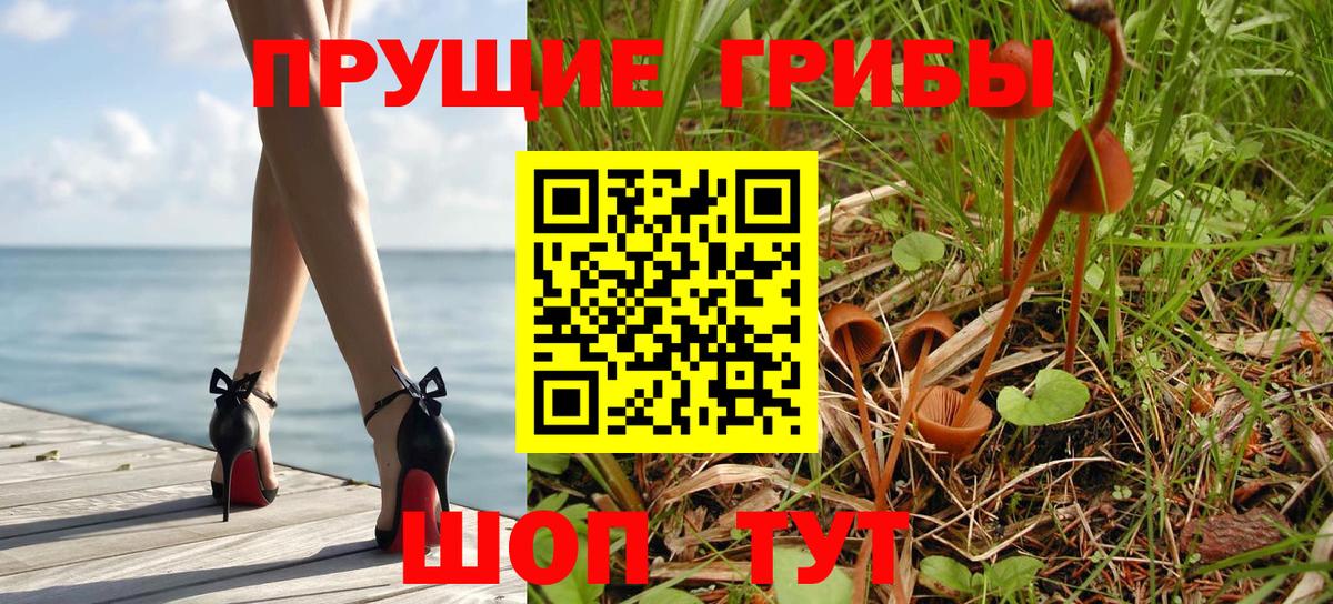 Псилоцибиновые грибы Psilocybe Озёры